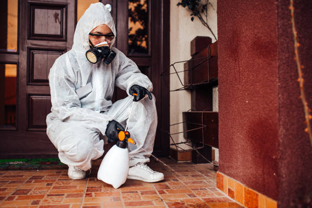 Reliable Bed Bug Control contractor in South Patrick Shores, FL by Nex Pest Control