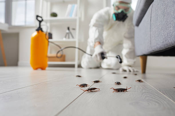 Trusted Cockroach Control service in South Patrick Shores, FL - Nex Pest Control