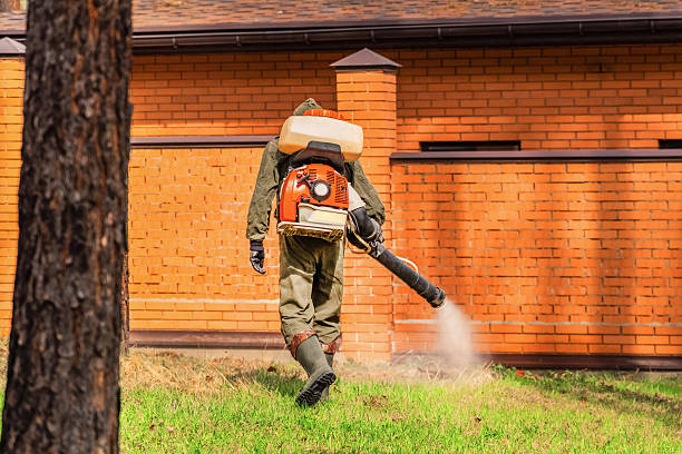 Trusted Mosquito Control service in South Patrick Shores, FL - Nex Pest Control